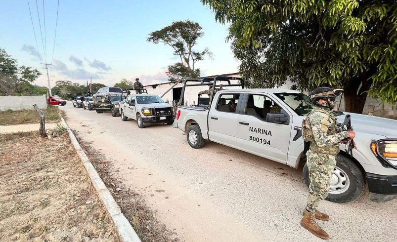 Semar asegura armas, droga y hasta un pony en Altamira, Tamaulipas