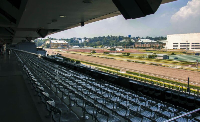 Investiga PAOT al Hipódromo de las Américas por realizar conciertos masivos