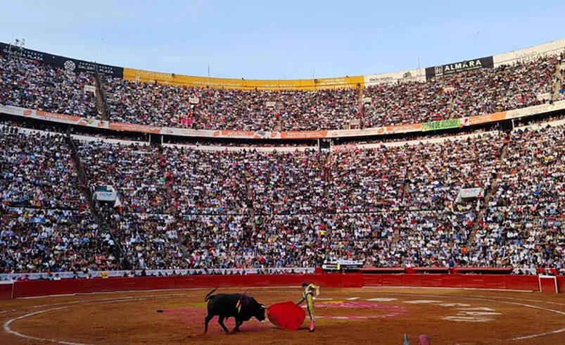 Congreso CDMX aprueba dictamen de corridas de toros sin violencia