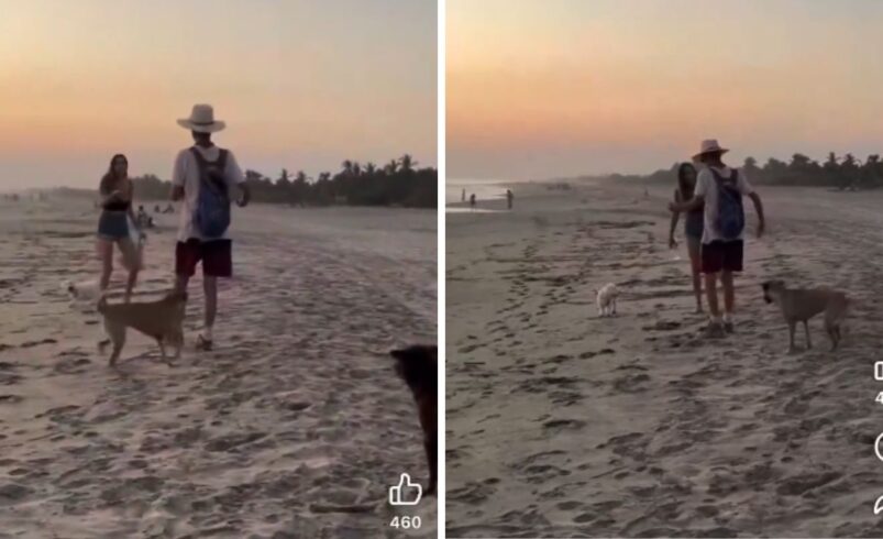 Exhiben a extranjera por agredir a perritos en playa Mazunte, Oaxaca (Video)