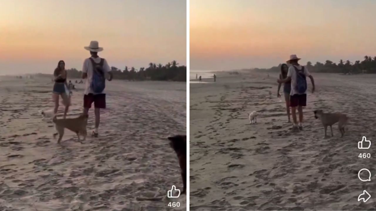 Exhiben a extranjera por agredir a perritos en playa Mazunte, Oaxaca (Video)