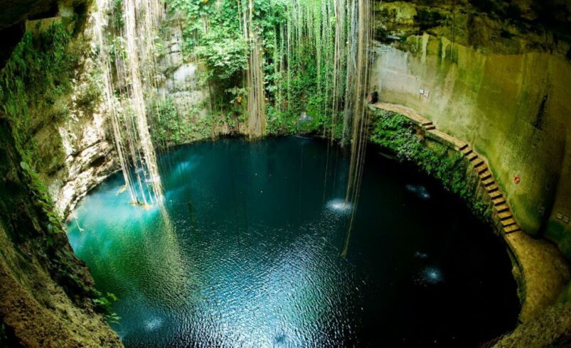 Cenotes sagrados de Yucatán: naturaleza viva de un legado maya