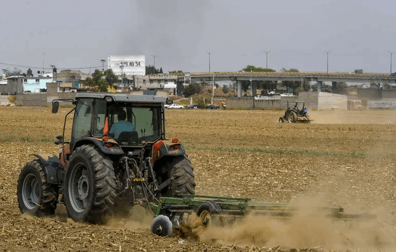 Bienestar otorga apoyos de 6 mil a 24 mil pesos a productores mexicanos; PASO A PASO para obtener la ayuda