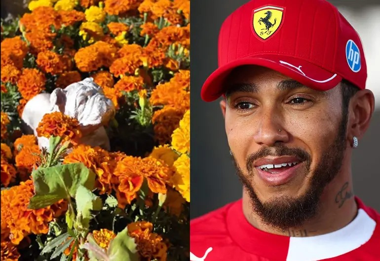 El GP de México recuerda a Roscoe, mascota de Hamilton