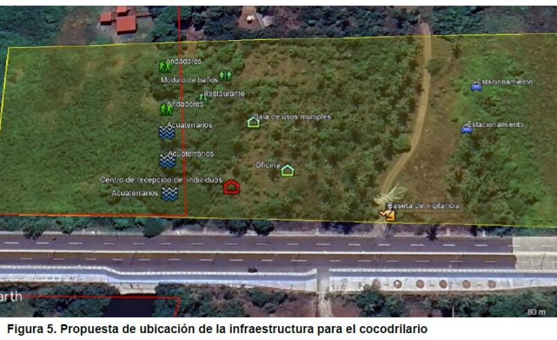 Presentan en la COP30 un modelo de convivencia entre humanos y cocodrilos para enfrentar el cambio climático en Michoacán