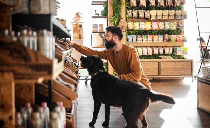 Sustainable Pet Food Foundation: dos encuestas muestran un aumento hacia dietas sostenibles para mascotas